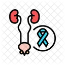 Cáncer genitourinario  Icono