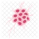 Cancer virus cause of cancer disease  Icon