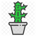 Candelabra Cactus Succulent Icon