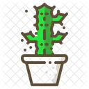 Cactus candelabro  Icono