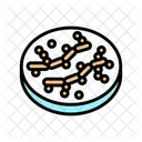 Candida  アイコン