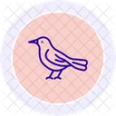 Zorzal Pajaro Canto Icono