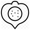 Candlenut Icon