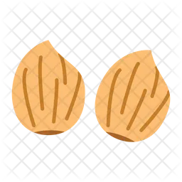 Candlenut  Icon