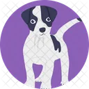 Cane  Icon