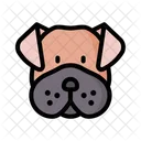 Cane Corso Dog Animal Icon