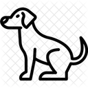 Cane  Icon