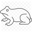 Cane Toad Animal Canetoad Icon