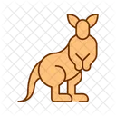 Canguro Marsupial Animal Icono