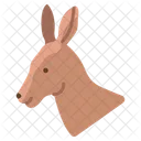 Canguru Animal Zoologico Icon