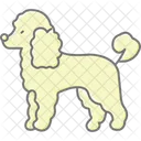 Caniche Perro Mascota Icono