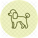 Caniche Perro Mascota Icono