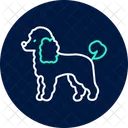 Caniche Perro Mascota Icono