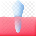 Canine Dog Animal Icon