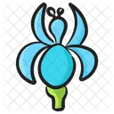 Canna Blossom Botany Icon