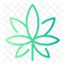 Cannabis Healthcare Medical Icon