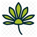 Blatt Cannabis Marihuanablatt Symbol