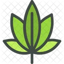 Cannabis Marijuanas Leaf Icon