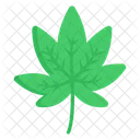 Hoja Hoja De Maleza Cannabis Icono