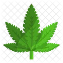 Marijuana Drug Hemp Icon