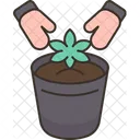 Cannabis Growing Cultivation Icon