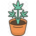 Cannabis Plant Marijuana Icon