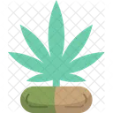 Cannabis Cbd Capsules Icon