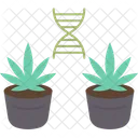 Cannabis Cloning Gene Icon