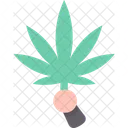 Cannabis Cultivation Marijuana Icon