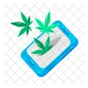 Cannabis App  Icon