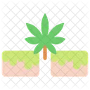 Brownie Cannabis Marijuana Icon