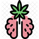 Cervello della cannabis  Icon