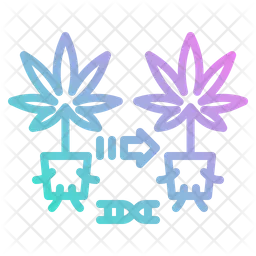 Cannabis Cloning  Icon