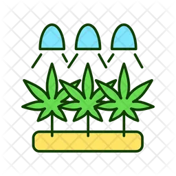 Cannabis cultivation  Icon