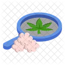 Cannabis Experiment  Icon