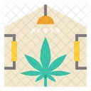 Plant Farm Marijuana Icon