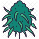 Cannabis  Icon