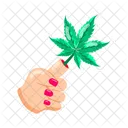 Cannabis Leaf  Icon