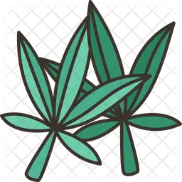 Cannabis Leaves  Icon
