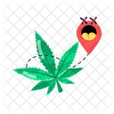 Cannabis Location  Icon
