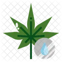 Cannabis oil  Icon