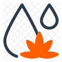 Cannabis Oil Medical Marijuana Medical Icon