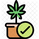 Cannabis plant  Icon