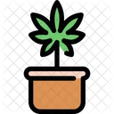 Cannabis Plant  Icon