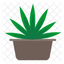Cannabis Home Plant Icon