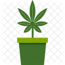 Cannabis Plant In Pot  Icon