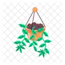 Cannabis Pot  Icon