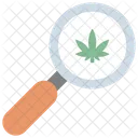 Magnifying Glass Cannabis Cannabidiol Icon