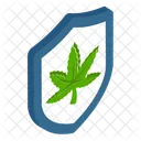 Cannabissicherheit  Icon