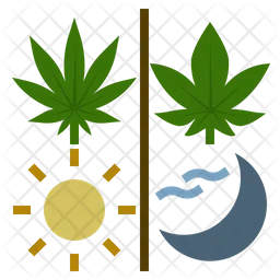 Cannabis Usage  Icon